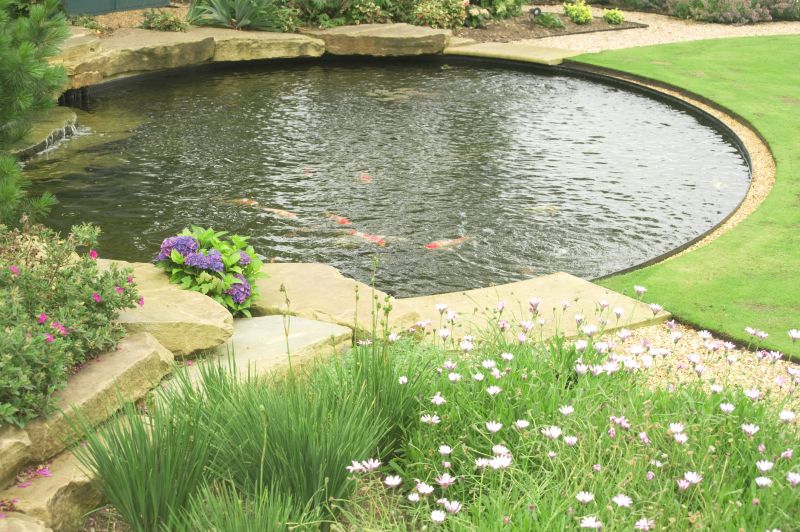 Koi Pond Installation Service