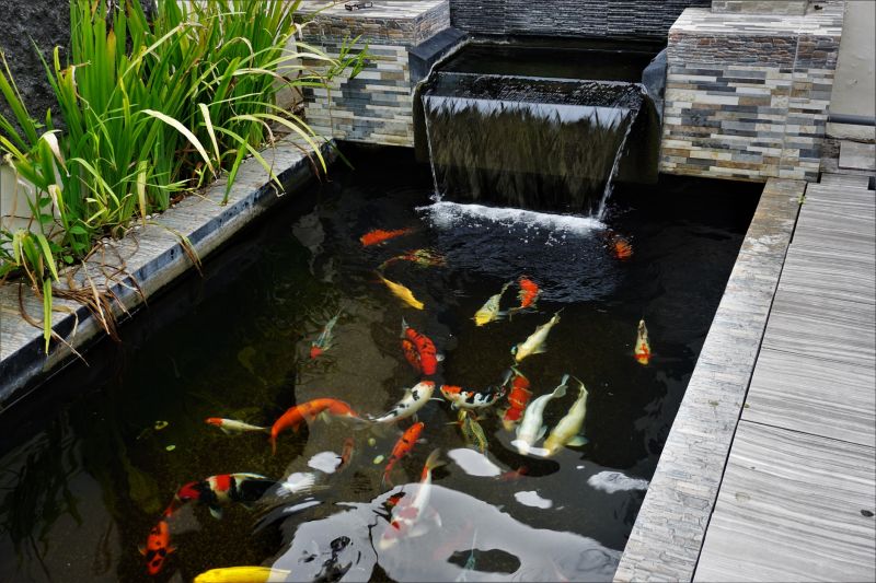 Koi Pond Installation