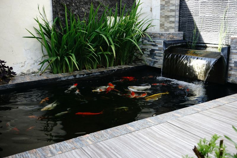 Koi Pond Installation